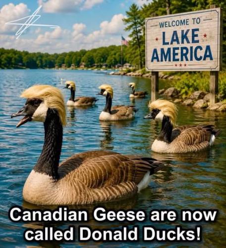 DonaldDucks