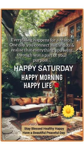All week saturday 3
