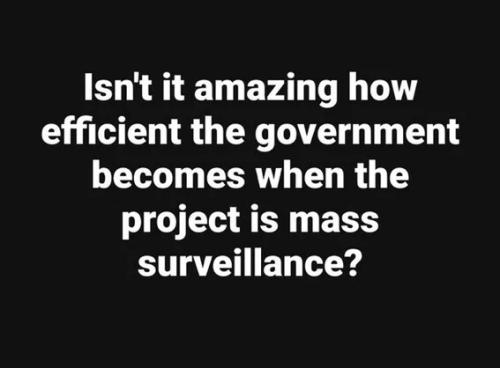 mass-surveillance-govt-efficient