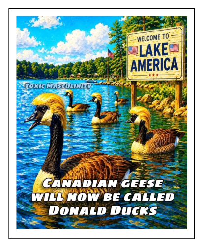donald ducks