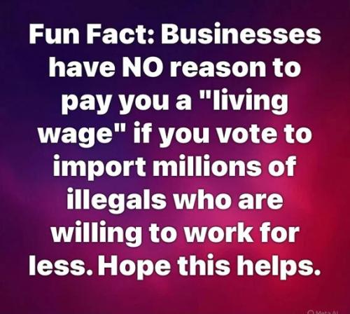 fun-fact