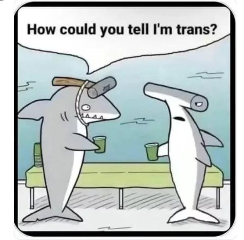 how-could-you-tell-trans