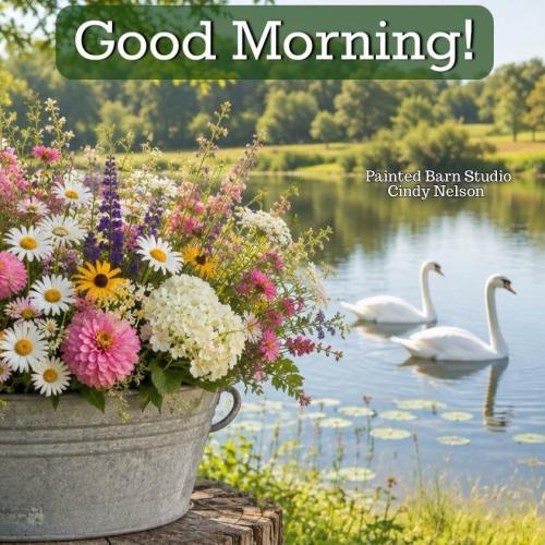 good morning