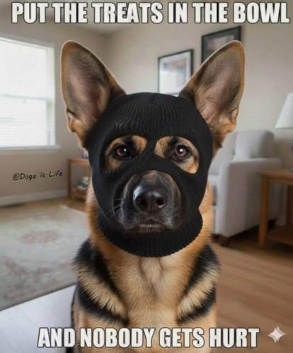 putthetreats