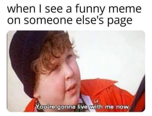 780393646_1074542875253363_2478938334764610137_n