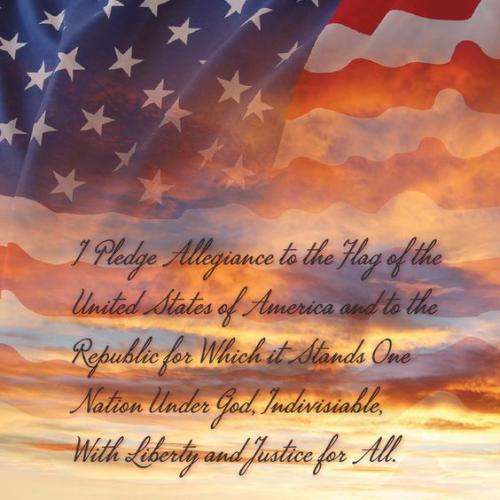 pledge 106