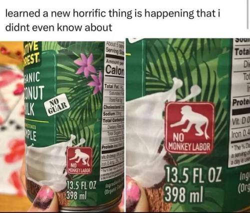 no-monkey-labor