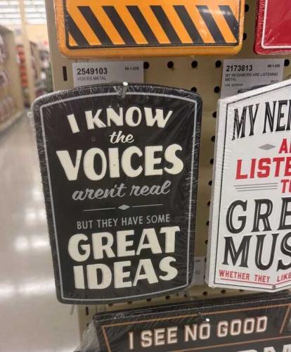 voices-have-great-ideas