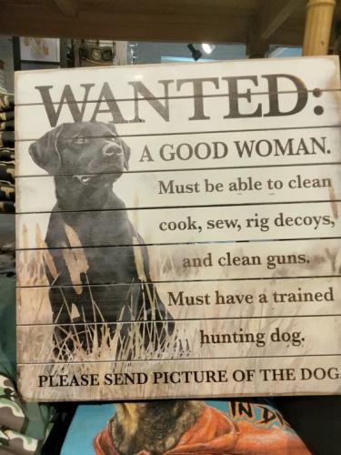 wanted-good-woman