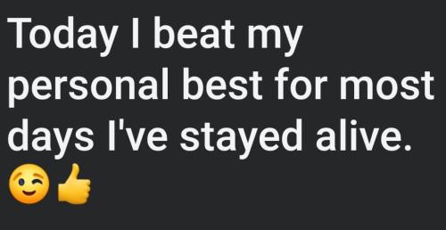 6049