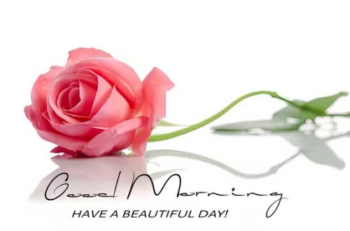 06:33:37 GMT-0500