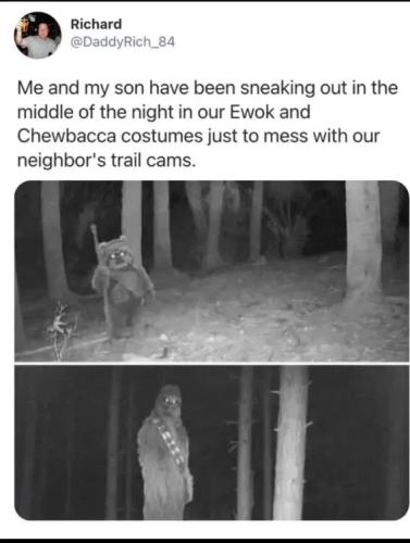 mess-with-trail-cams