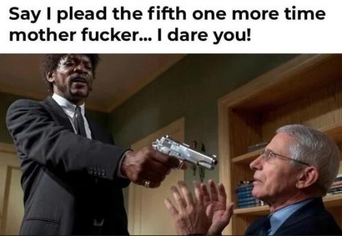 say-plead-the-5th-one-more-time