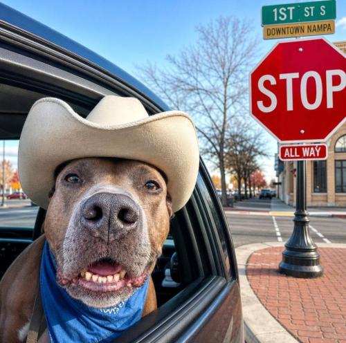 stop sign day