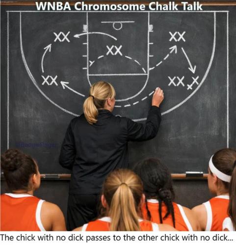 wnba-chromosome-chalk-talk
