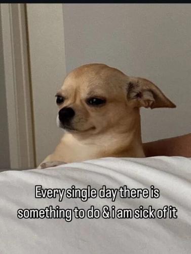 sick-of-it