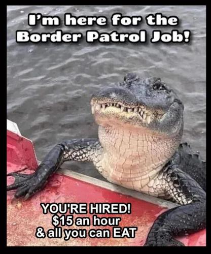 border-patrol-job