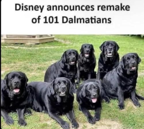 disney-remake-101dalmatians