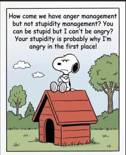 no-stupidity-management