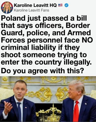 shoot-illegals