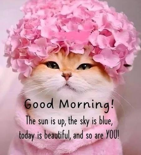 07:50:52 GMT-0500
