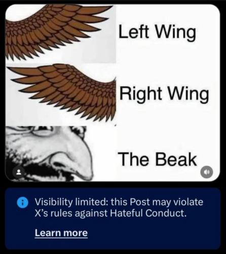 Screenshot_20260818-211320_Brave