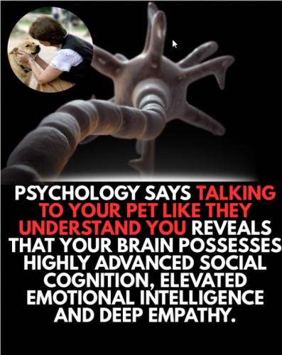 talkingpet
