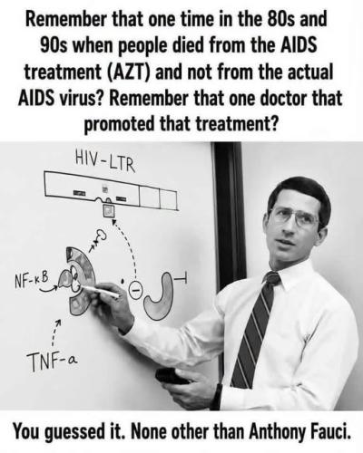 Fauci 22