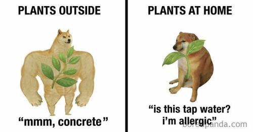 funny-memes-alphabetsoup-fb4-6a1d559833931__700