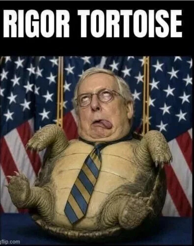 rigor-tortoise