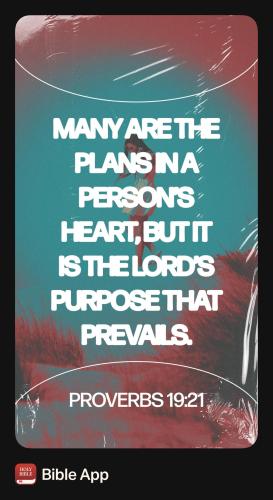 unnamed-361