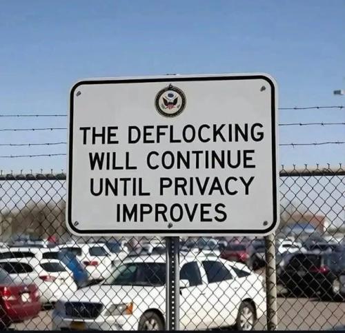 IMG_6521
