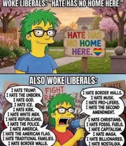WOKE LIBERALS