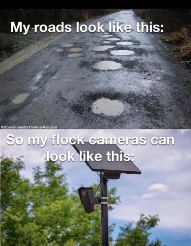 roads-so-have-flock