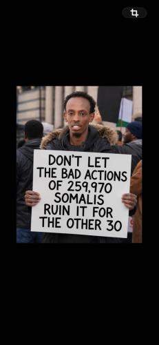 bad_somalies