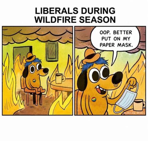 liberals-during-wildfire-season