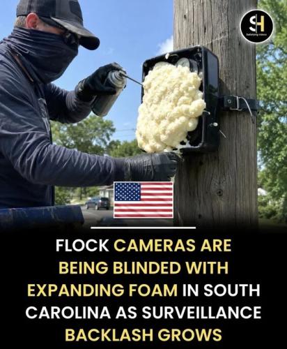 flock-blinded-foam
