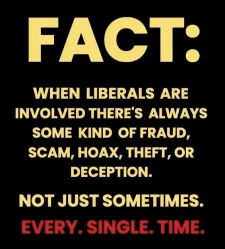 liberals-involved-always-fraud