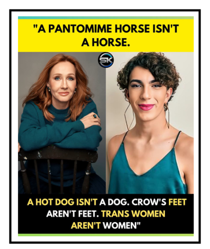 isnt a horse