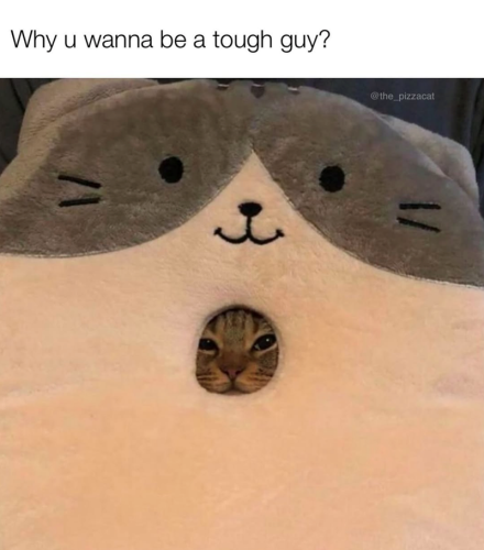 why-u-wanna-be-tough-guy-1-3-the_pizzacat-1