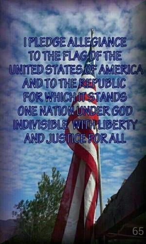 pledge 115