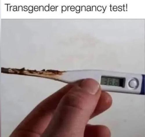 trans-pregnancy-test