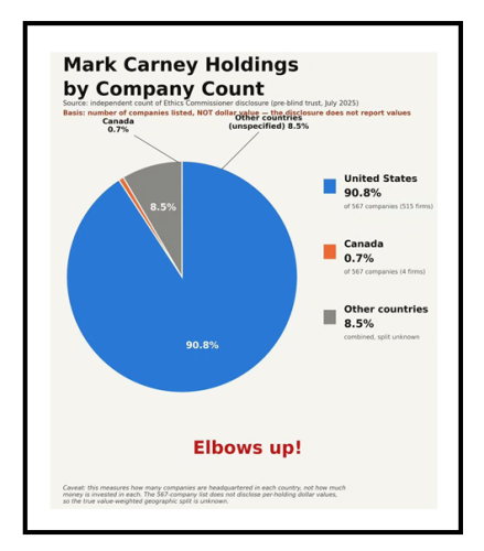 Mark Carney holdings