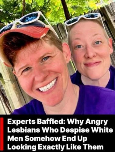 experts-baffles