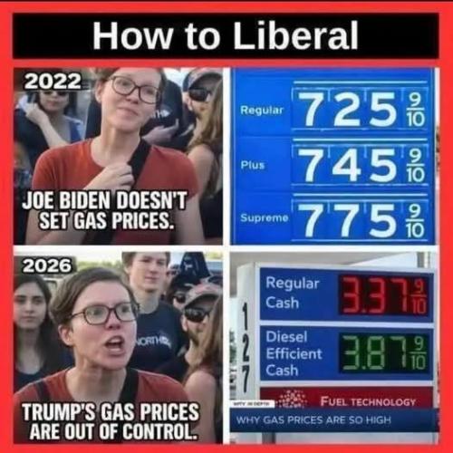 707532219_1542998507443260_5538906894001738691_n
