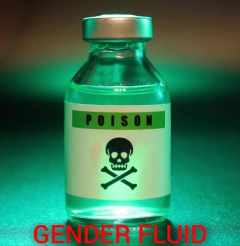 gender-fluid