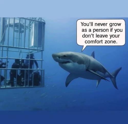 leave-your-comfort-zone