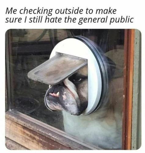 checking-outside