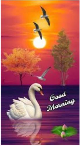 09:17:06 GMT-0400