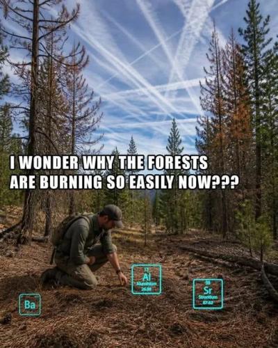 f84e3c71047f4297446823622eeaf7d7